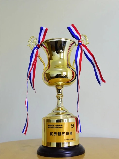 祥龙博瑞沃尔沃获得“2017年优秀新经销商”奖(图1)